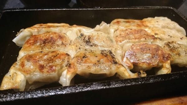 博多くろがね本店の餃子