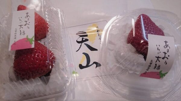 テイクアウト用のケース