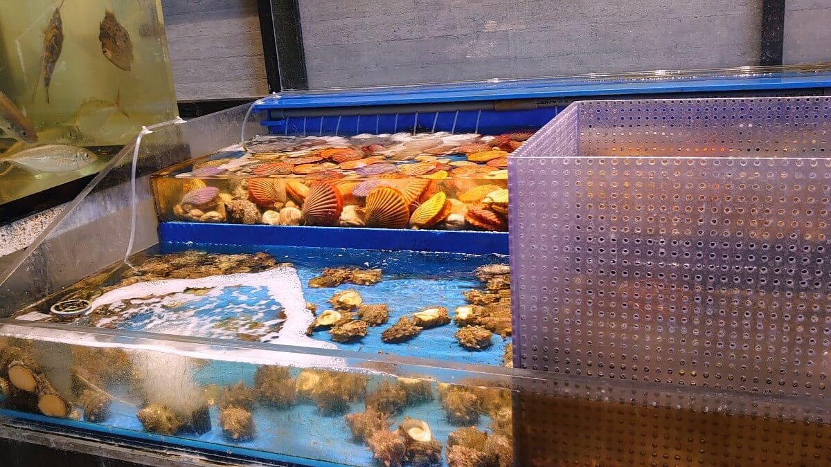 博多豊一 ベイサイドプレイス博多