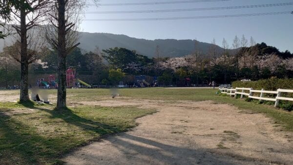 ABURAYAMA FUKUOKA(油山市民の森)