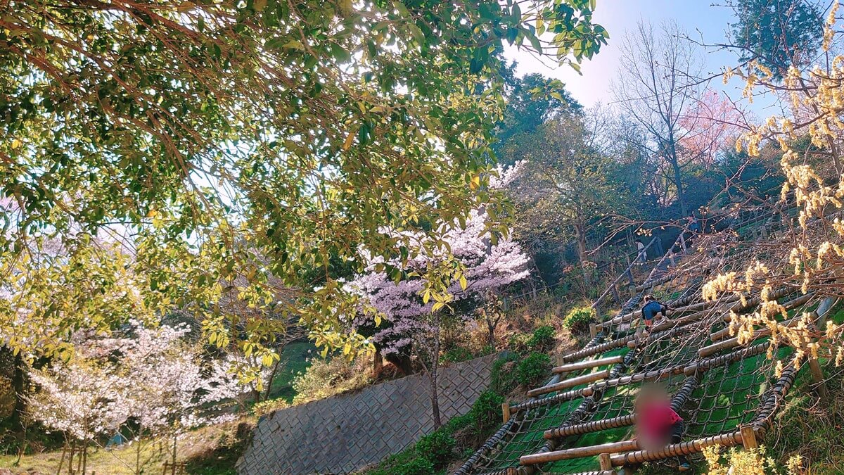 油山市民の森{ABURAYAMA FUKUOKA}