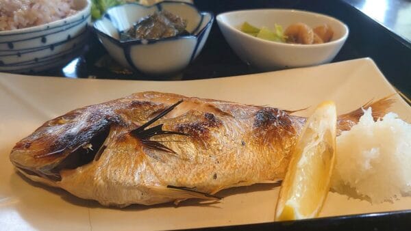 てんぷらところっけ いわせの定食