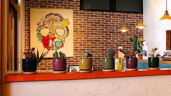 タコス店 Tacomiaの店内